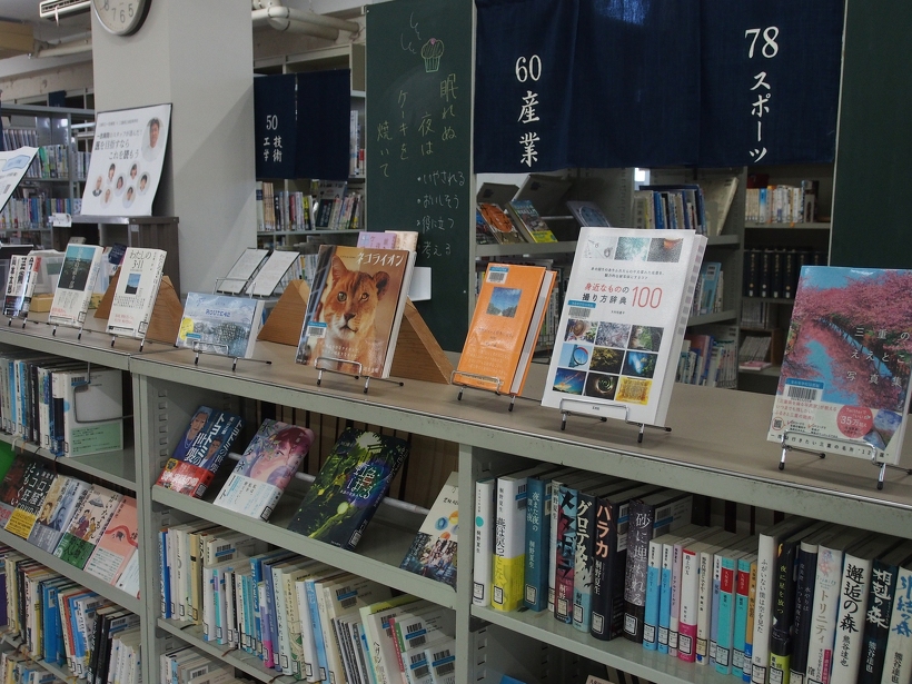 関連本の展示